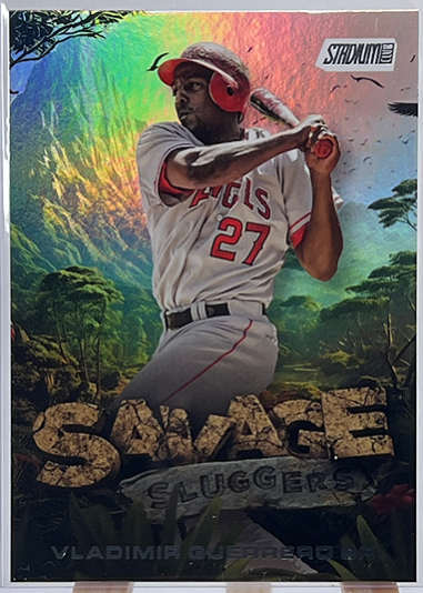 Vladimir Guerrero - Card 3
