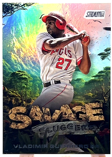 Vladimir Guerrero - Card 3